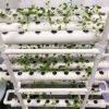 NFT Hydroponics System with 108 Holes Kits; Vertical Hydroponic Growing Systems PVC Tube Plant Vegetable