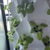 Aeroponics Equipment Pineapple Tower Garden Vertical Hydroponic Growing System 6 Layers 48 Plants