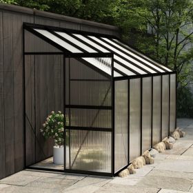 Greenhouse Anthracite Aluminum 274.3 ft³