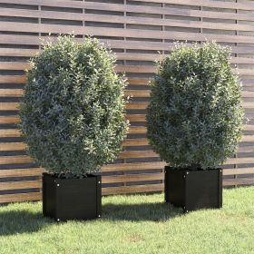 Garden Planters 2 pcs Black 15.7"x15.7"x15.7" Solid Wood Pine