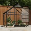 Glass Greenhouse Anthracite 61"x40.6"x75.2" Aluminum