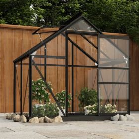 Glass Greenhouse Anthracite 61"x40.6"x75.2" Aluminum