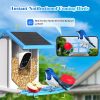 Smart Bird Feeder With Camera,Solar-Powered WiFi 4MP Live Camera,AI Identify Bird Species Auto Capture Garden Bird Watching&Motion Detection