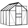 Greenhouse Anthracite Aluminum 38.9 ft²