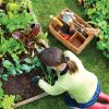 Gardening Hand Tools with Basket