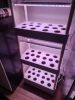 Herb Garden Hydroponic Growing System with LED Grow Lights,3 Layers  42 Pods Indoor Planter Kit for Leaf Vegetables,Strawberry,Cherry Tomato