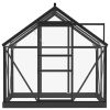 Glass Greenhouse Anthracite 61"x40.6"x75.2" Aluminum