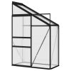 Greenhouse Anthracite Aluminum 48.7 ft³