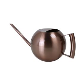 1L Stainless Steel Watering Pot Gardening Potted Small Watering Can With Handle For Watering Plants Flower Garden Tool (Color: Bronze)