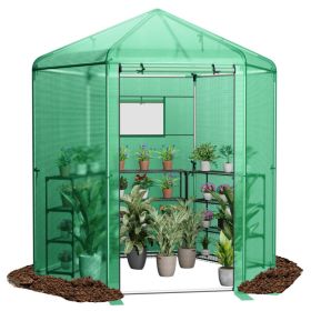 Walk-In Hexagonal Greenhouse with PE Cover and Metal Frame (Color: Green)