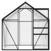 Greenhouse Anthracite Aluminum 26.6 ft²