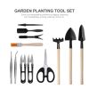 Outdoor & Indoor Usage 13PCS Mini Garden Planting Tool Set