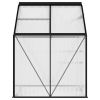 Greenhouse Anthracite Aluminum 26.6 ft²