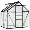 Greenhouse Anthracite Aluminum 26.6 ft²